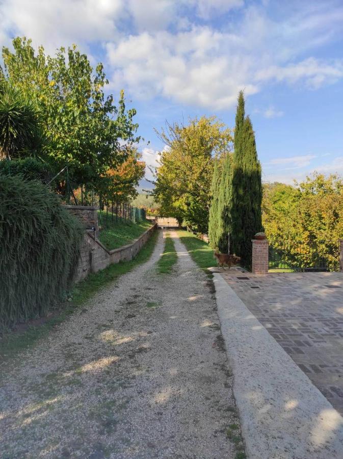B&B Sole Mio Velletri Exterior photo